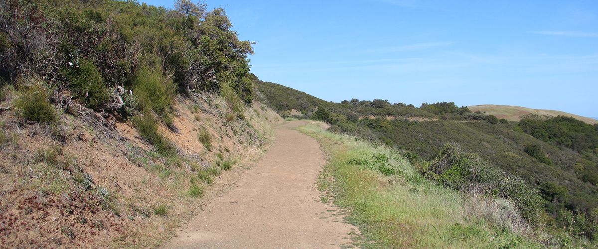 Dirt hiking trail climbing a green hillside on the Bald Mountain Trail in Sierra Azul Open Space Preserve, south of San Jose
